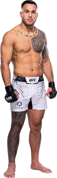 Brad Tavares